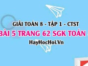 Giải bài 5 trang 62 Toán 8 Tập 1 SGK Chân trời sáng tạo